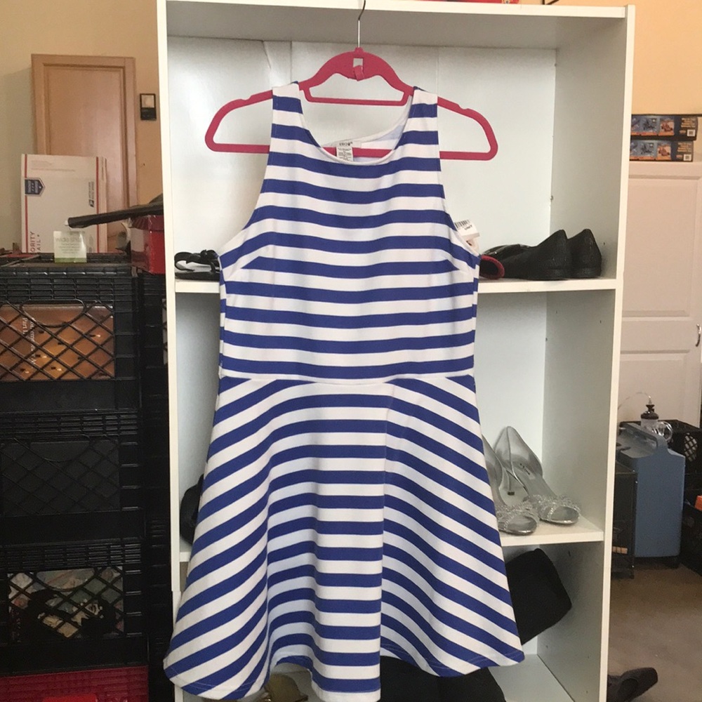 Extra large skater dress